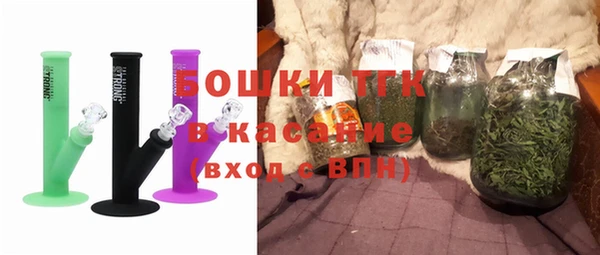 индика Алзамай