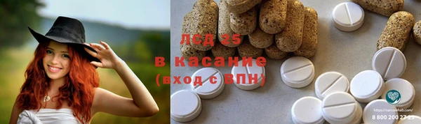 индика Алзамай