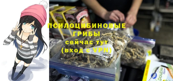 ALPHA PVP Алексеевка