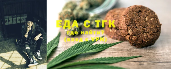 индика Алзамай