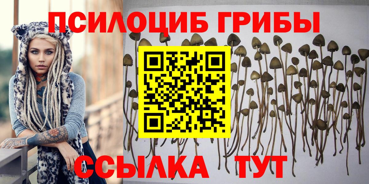 Галлюциногенные грибы мицелий  хочу наркоту  Раменское  Вход с VPN 